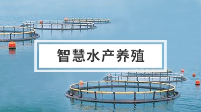 水產(chǎn)養(yǎng)殖水質(zhì)監(jiān)測(cè)