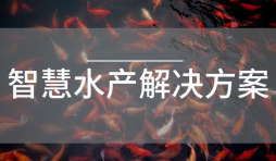 水產養殖水質監測